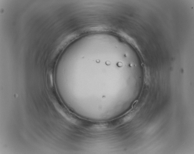 X0000074320061200609152042