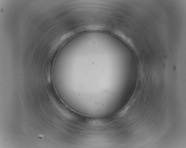 X0000074320062200609152042