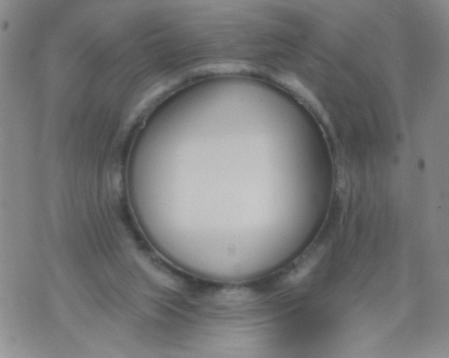 X0000074320063200609152042