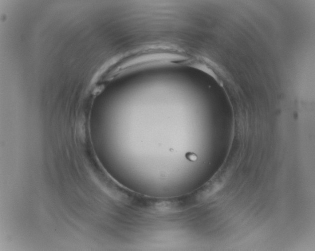 X0000074320064200609152042