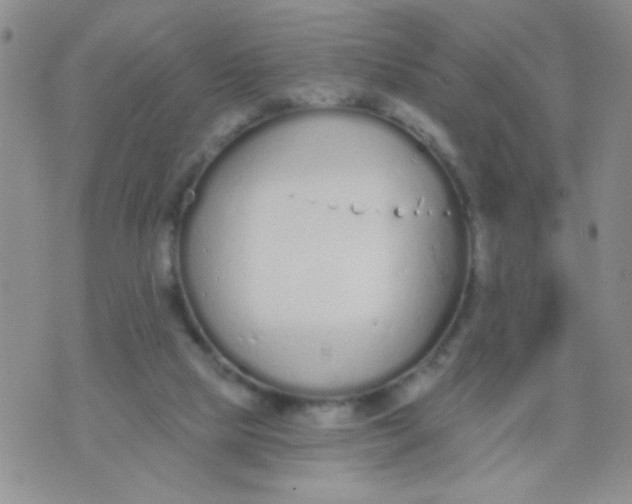 X0000074320065200609152042