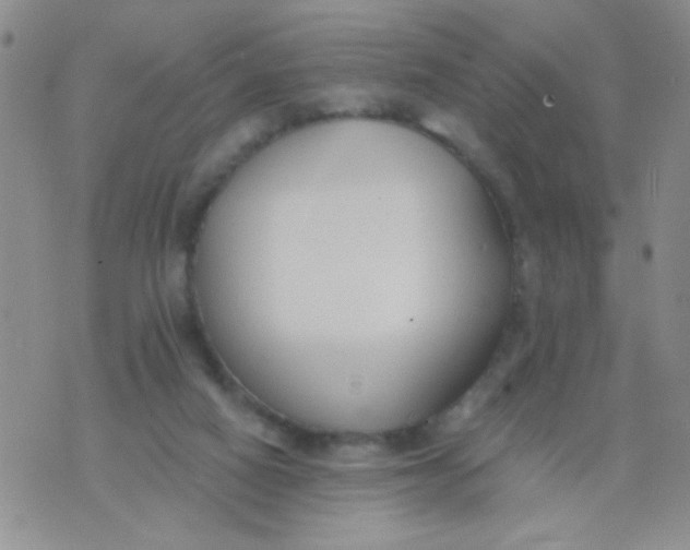 X0000074320066200609152042