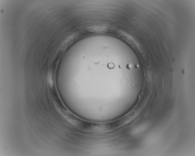 X0000074320069200609152042