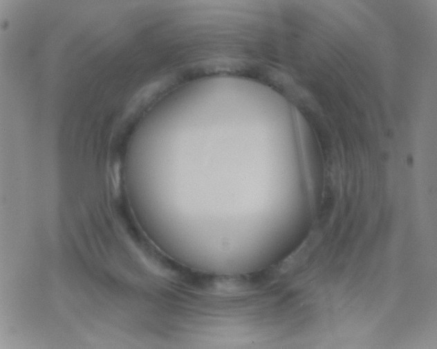 X0000074320070200609152042