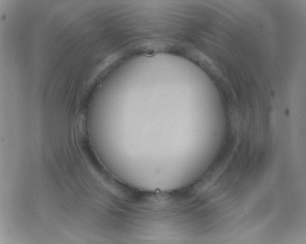 X0000074320071200609152042