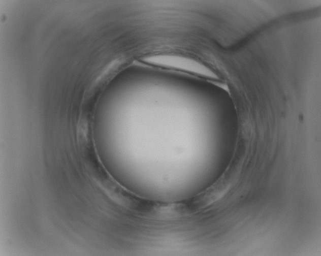 X0000074320072200609152042