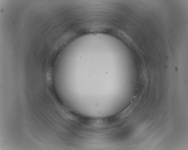 X0000074320074200609152042