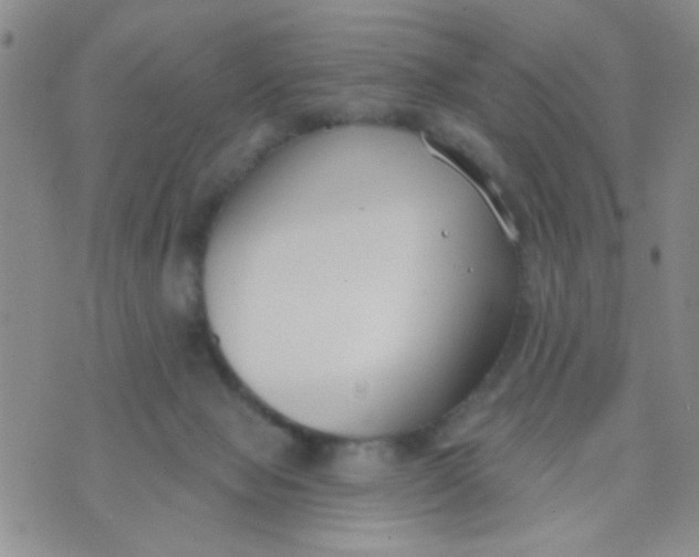 X0000074320077200609152042