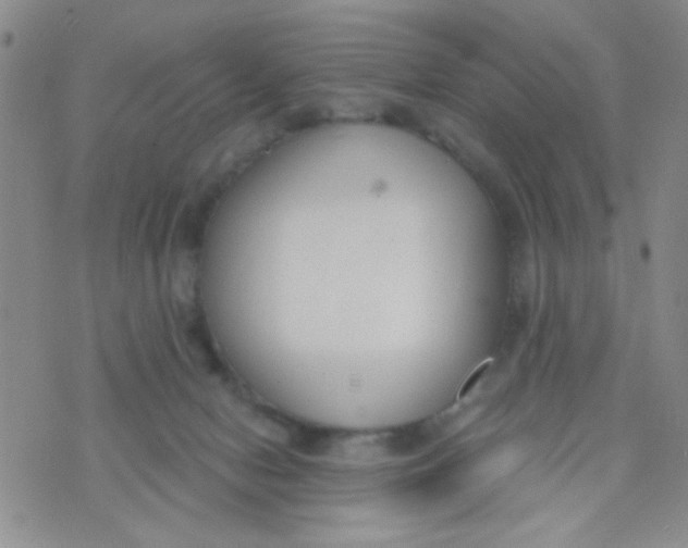 X0000074320078200609152042