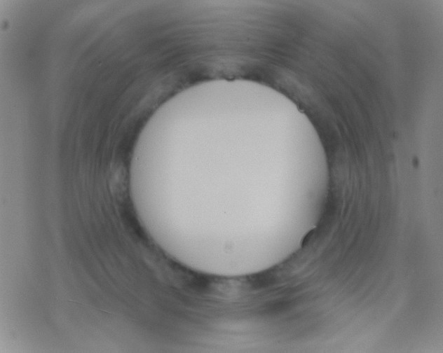 X0000074320079200609152042