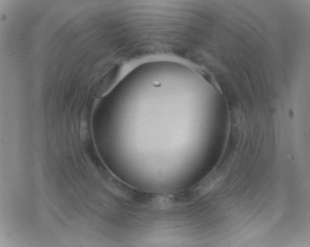 X0000074320080200609152042