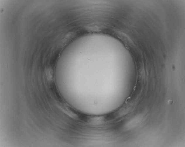 X0000074320081200609152042