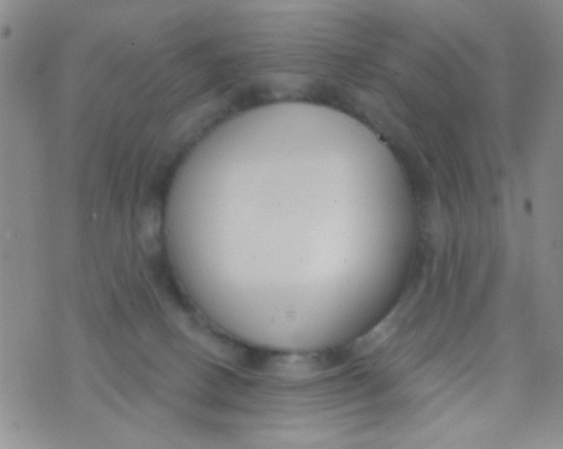 X0000074320082200609152042