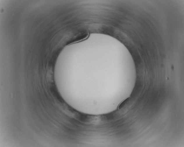 X0000074320083200609152042