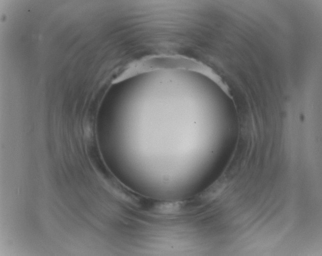 X0000074320084200609152043