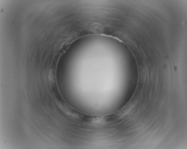 X0000074320088200609152043