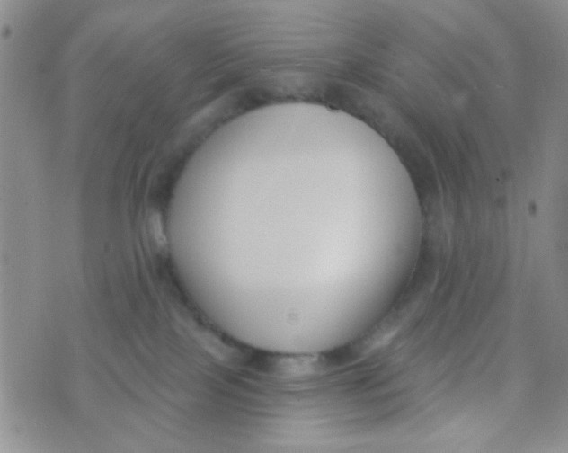 X0000074320089200609152043