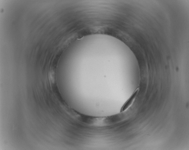 X0000074320090200609152043