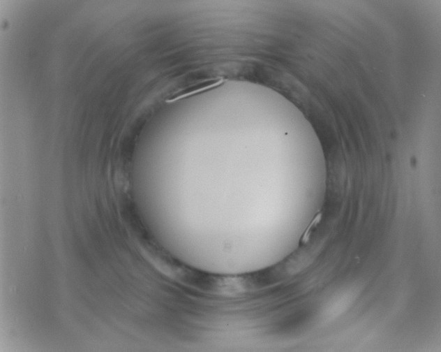 X0000074320091200609152043