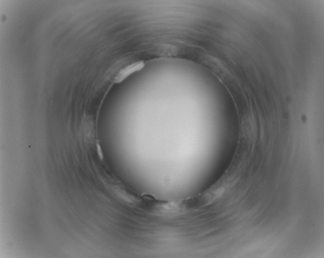 X0000074320092200609152043