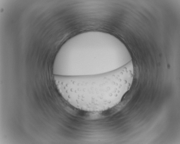 X0000074320093200609152043