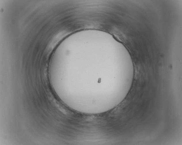 X0000074320098200609152042