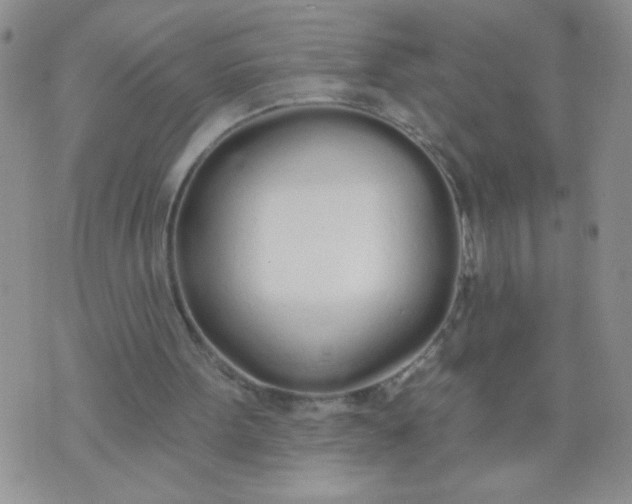 X0000074320099200609152042