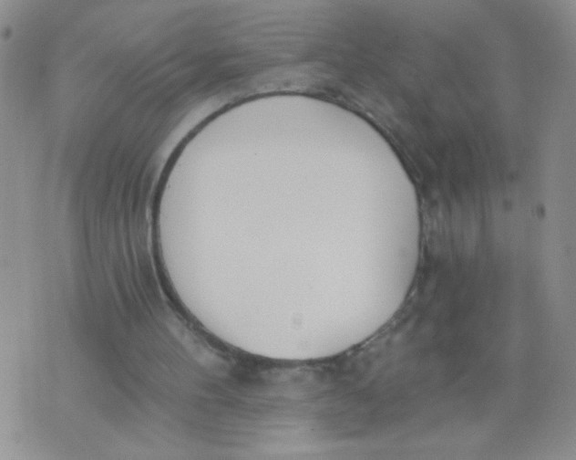 X0000074320100200609152042