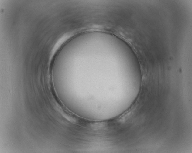 X0000074320102200609152042