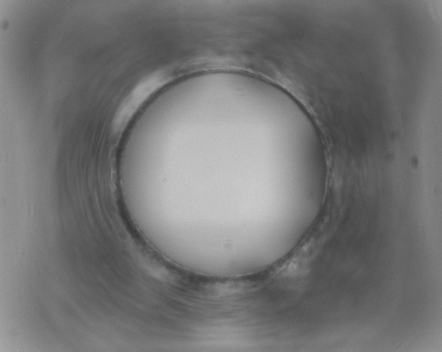 X0000074320103200609152042