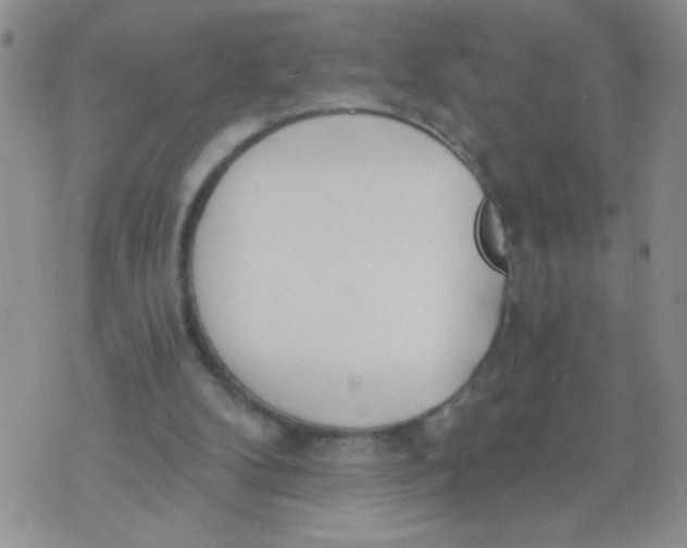 X0000074320104200609152042