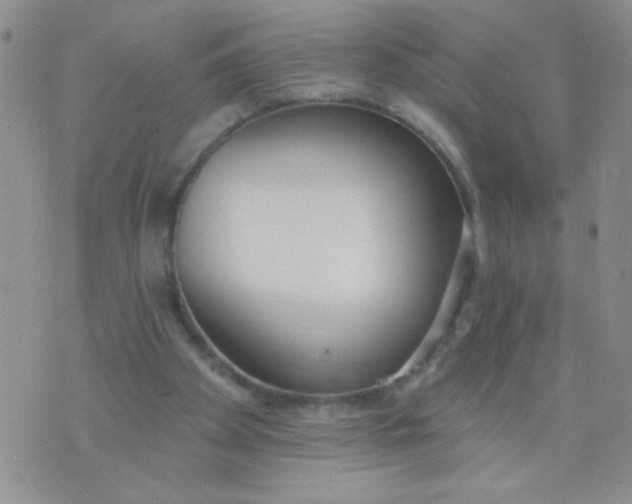 X0000074320105200609152042