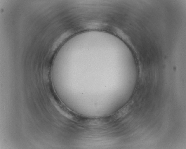 X0000074320106200609152042