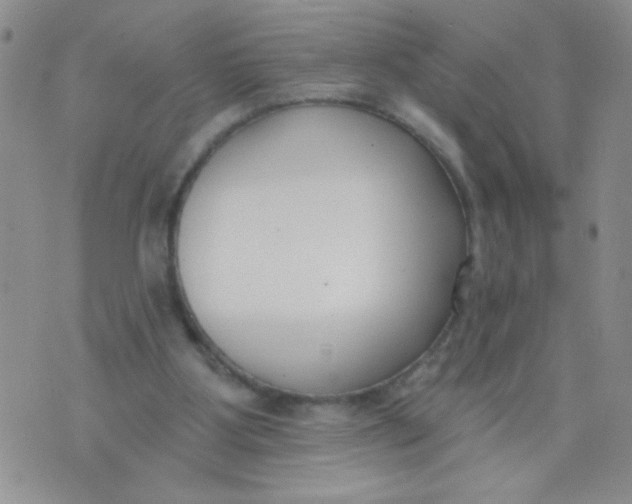 X0000074320107200609152042