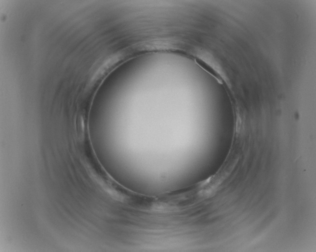 X0000074320109200609152042