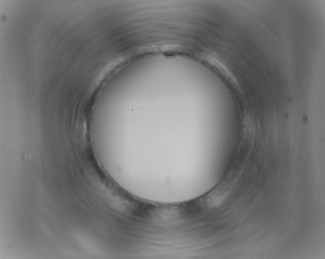 X0000074320110200609152042