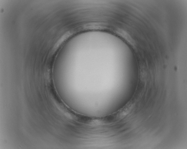 X0000074320111200609152042