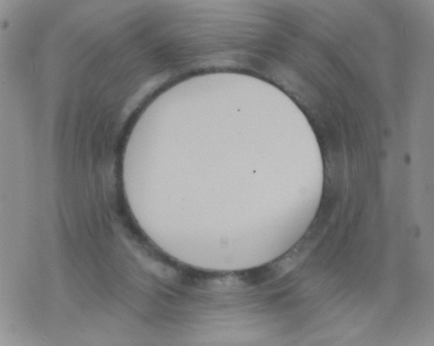 X0000074320112200609152042