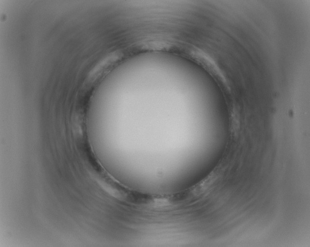 X0000074320114200609152042