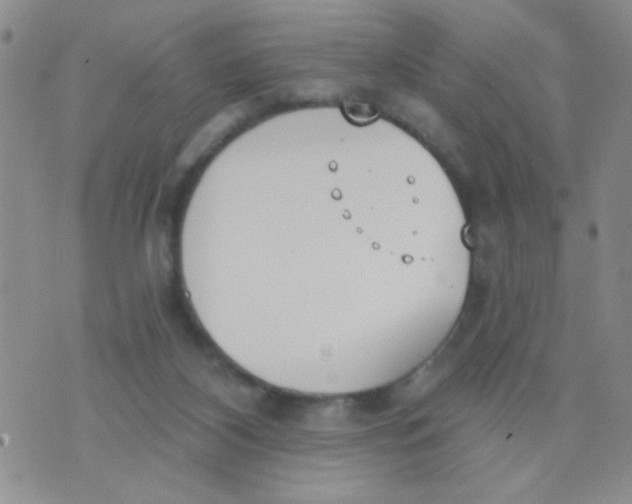 X0000074320116200609152042