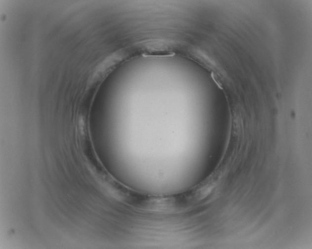 X0000074320117200609152042