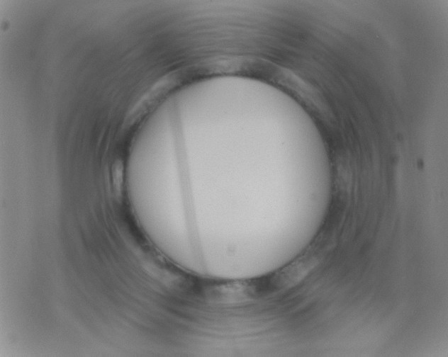 X0000074320118200609152042