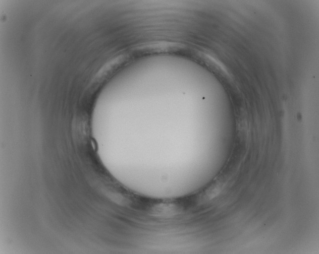 X0000074320119200609152042