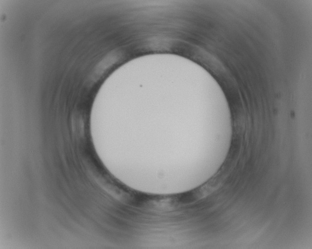 X0000074320120200609152042