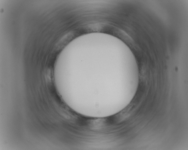 X0000074320122200609152042