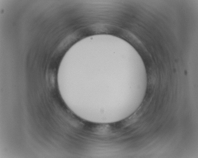 X0000074320124200609152041