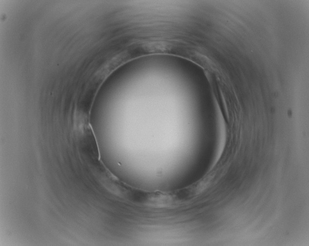 X0000074320125200609152041