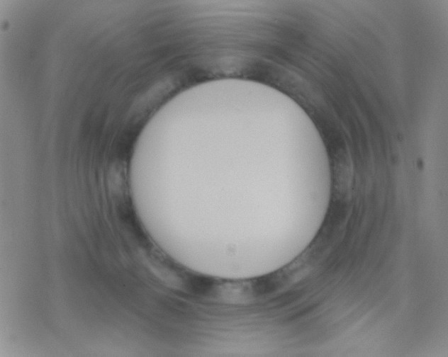 X0000074320126200609152041