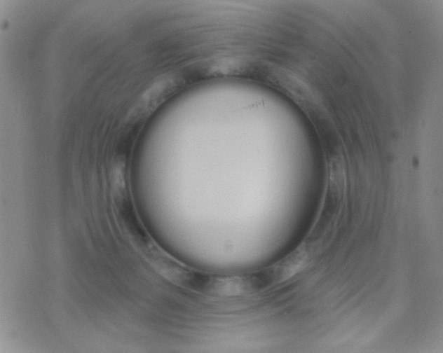 X0000074320127200609152041