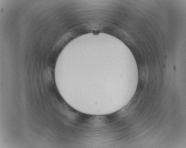 X0000074320128200609152041